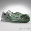 Adidas Chameleon
