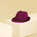 Фиолетовая мужская шляпа Paul Smith